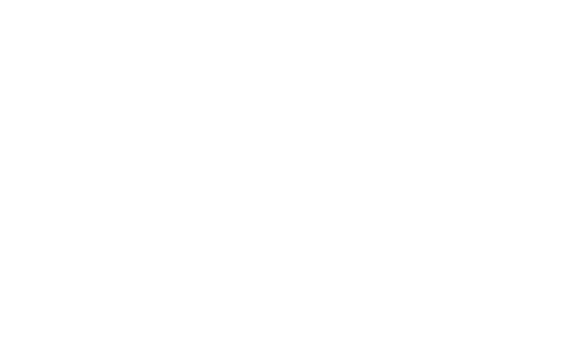 Das offizielle Logo von ALEMI Zürich